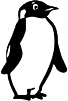 PG