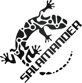 Salam
